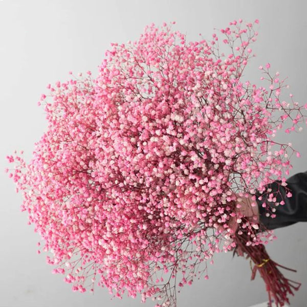 Natural Fresh Dried Preserved Flowers Gypsophila paniculata,Baby's Breath Flower bouquets gift for Wedding Decoration,Valentines ConnectRoom
